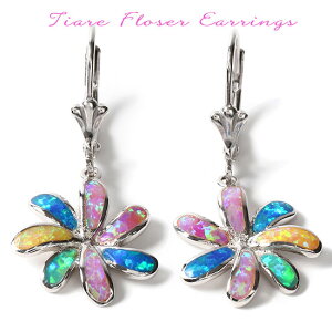 nCAWG[ sAX fB[X Vo[ Ip[  t[ eBA