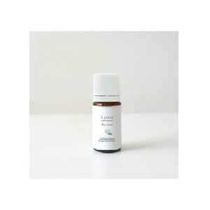 アロマオイル ロータスの通販 価格比較 価格 Com