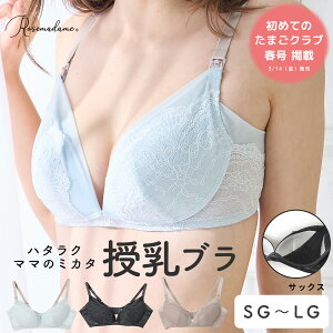 uW[ }^jeB [X  u mC[ ꂵȂ y Rbg100  Rbg  YO Y Dw  uPi Rosemadame [Y}_