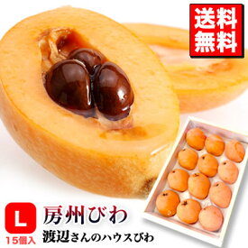 楽天市場 北海道 産地 都道府県 千葉 びわ フルーツ 果物 食品の通販