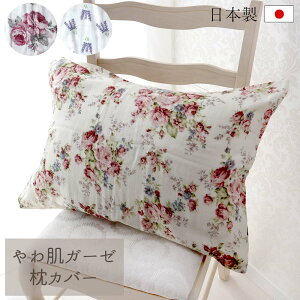 픧K[[ Jo[ { K[[f Ԃ KN x_[ VRf _炩 43×63cm K[[ s[ Jo[ ԕ [Y