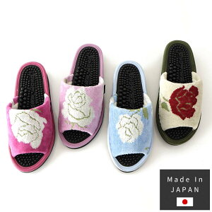 NXbp NT_ tHe { wXXbp [Y  ԕ NXbp Mtg  fB[X p 