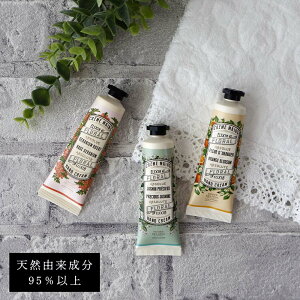 ^CZ[ Au\[g nhN[ STCY tX VRR pjGfTX [Y WX~ I[uIC XC[gA[hIC ێ