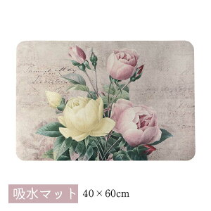 z}bg ybg KN [Y L lR Lbg  킢  ؂₩