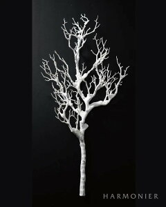 zCggDCbOfR    sbN CeA IuWF  fBXvC k GKg ~ NX}X