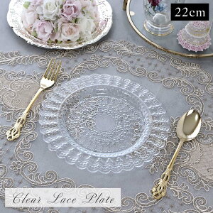 NA[X v[g STCY 22cm H GKg  KX  t gRH OWA[ fU[gv[g