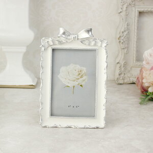 v[g ʐ^ Vo[{ 킢  j tHgt[ 蕨 Vr[ Mtg AeB[N KN G NbVbN  zCg