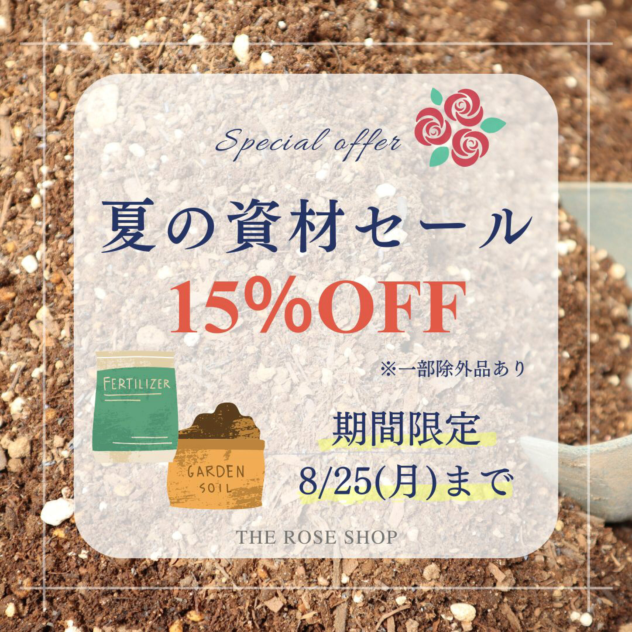 バラ苗資材セール