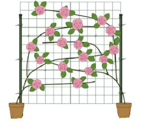 楽天市場 つるバラ フェンス 花 ガーデン Diy の通販