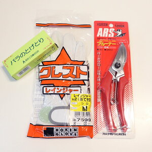 yzp؂oZbgvdl ^v̎܁^͂݁^gQƂ^K[fjOylR|XΉz