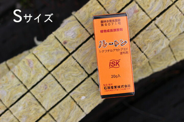 楽天市場 自宅で挑戦 挿し木用ロックウールと発根促進剤ルートンのスターターズセット バラ専門店 ザ ローズショップ 楽天市場 自宅で挑戦 挿し木用ロックウールと発根促進剤ルートンのスターターズセット バラ専門店 ザ ローズショップ