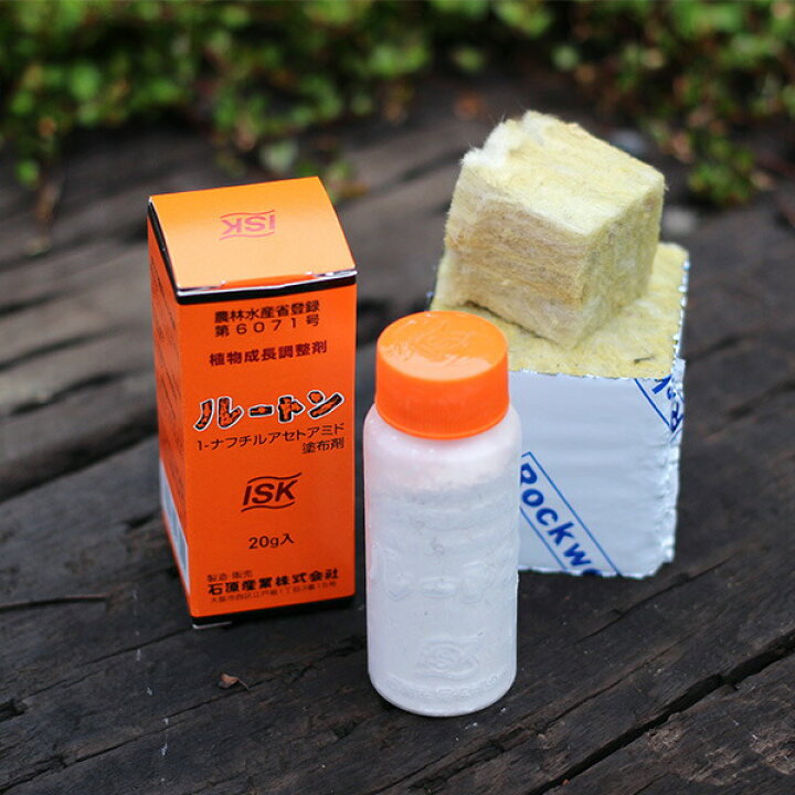 楽天市場 自宅で挑戦 挿し木用ロックウールと発根促進剤ルートンのスターターズセット バラ専門店 ザ ローズショップ