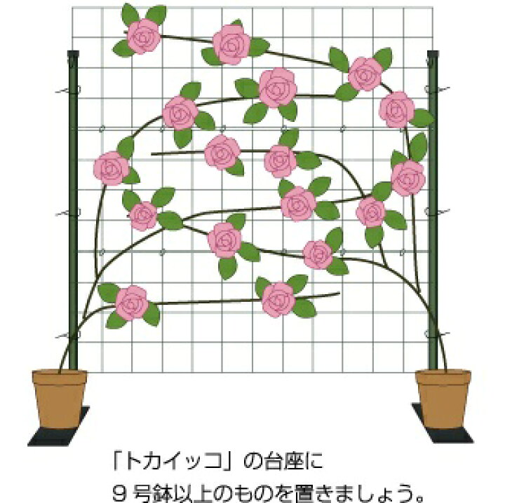 楽天市場】つるバラ用トレリス「カラマリーナVG-G」W1800×H1800mm 