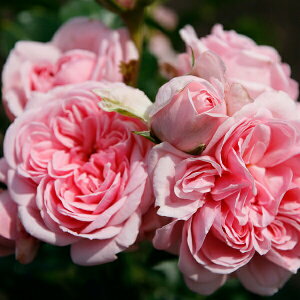 yubNtCf[ |Cg10{Iz \c oc yVfz (c) o lG炫  sNn RfX Yc 6Xbg y2026N1{zz