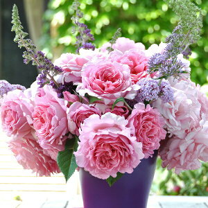 \c oc yrAjz (c) Vu 鐫 lG炫  sNn fo[ Yc 6pp   aCɋ ϕa y2026N2{zz