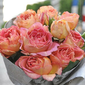 \c oc ypWFkz (c) Vu 鐫 lG炫  Fn IWn Fn fo[ Yc 6pp  aCɋ ϕa y2026N2{zz