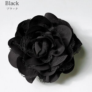 RT[W u[` tH[} lC ~bNXfނ̃_ART[W  Ǝ  w   p[ _A  Ԃ   wAANZT[  X[