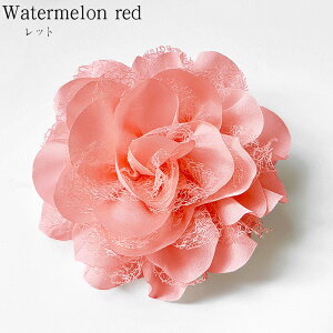 RT[W u[` tH[} lC ~bNXfނ̃_ART[W  Ǝ  w   p[ _A  Ԃ   wAANZT[  X[