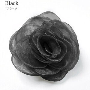 RT[W u[` tH[} lC ~bNXfނ̃_ART[W  Ǝ  w   p[ _A  Ԃ   wAANZT[  X[