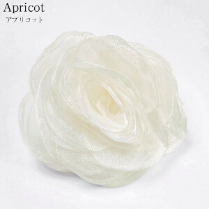 RT[W u[` tH[} lC ~bNXfނ̃_ART[W  Ǝ  w   p[ _A  Ԃ   wAANZT[  X[