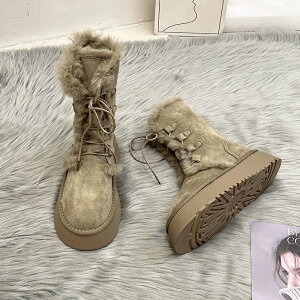 [gu[c fB[X Ȃ V[gu[c q[6cm ~C Xm[u[c V[gC t@[u[c ʊw  g Xm[V[Y h h ʋ 킢 ӂӂ 