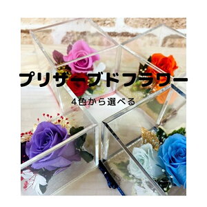 H t[AWg  v`v[g Mtg vU[uht[ JCC L[u 蕨 sN IW v`Mtg Cxg  җ P  o ԍ  