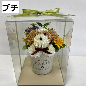  tt[hbO    ybg  t[AWg  ybg  Mtg gCv[h }`[Y ` V[Y[ VoP uh[ |jA S