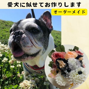  蕨 v[g Mtg t[AWg av[g  ybg Mtg gCv[h }`[Y ` V[Y[ VoP uh[ |jA u`  v`M
