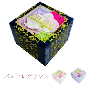 H Mtg \[vt[ v[g oX tOX CeA  t[ j Ajo[T[ 蕨 C bNX av[g