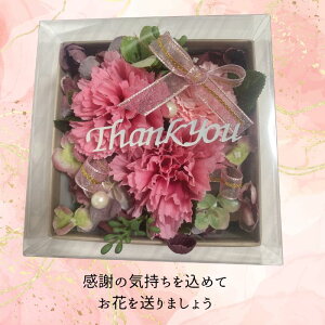 Mtg t[AWg v[g Mtg 蕨  LO  ʉ ސEj  җ  Ď P a zCgf[ wj u[ sN o Lk J[l