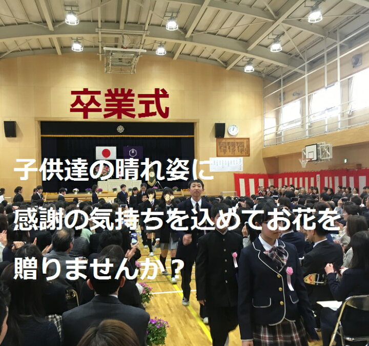 楽天市場 母の日 一輪 一本 フラワーアレンジメント ギフト プレゼント ソープフラワー 卒業 卒園 母の日 ピアノの発表会 花束贈呈 誕生日 お礼 バレンタイン 0ホワイトデー 父の日 敬老の日 rosetta 楽天市場 母の日 一輪 一本 フラワーアレンジメント ギフト プレゼント ソープフラワー 卒業 卒園 母の日 ピアノの発表会 花束贈呈 誕生日 お礼 バレンタイン 0ホワイトデー 父の日 敬老の日 rosetta