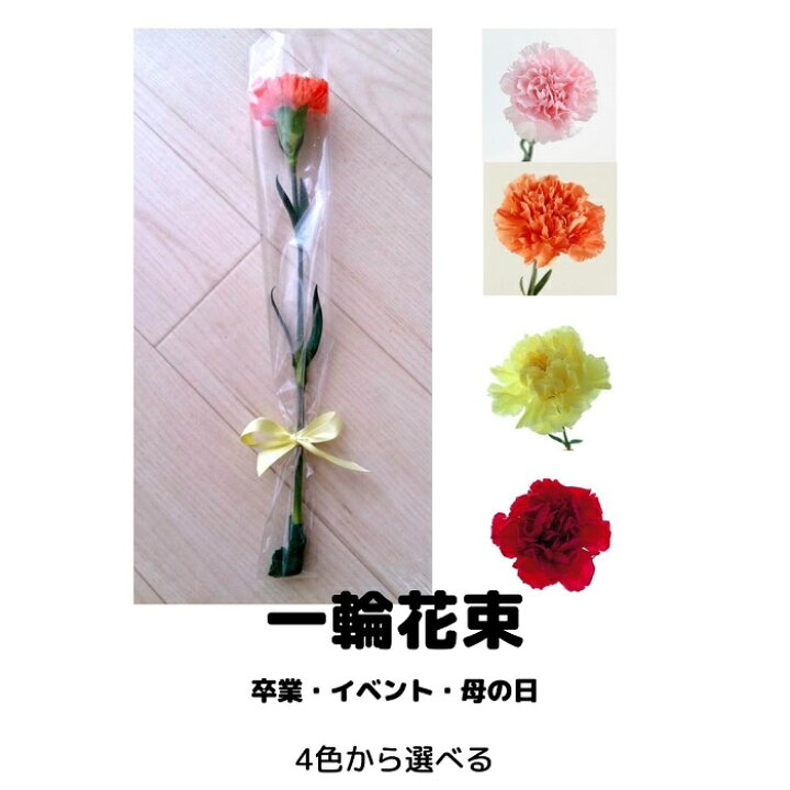 めったに 独立して 大混乱 一輪 花 プレゼント 必需品 活力 販売員