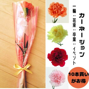 生花 カーネーション 一輪の人気商品 通販 価格比較 価格 Com 生花 カーネーション 一輪の人気商品 通販 価格比較 価格 Com