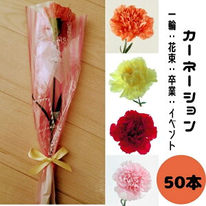 生花 一輪 花の人気商品 通販 価格比較 価格 Com