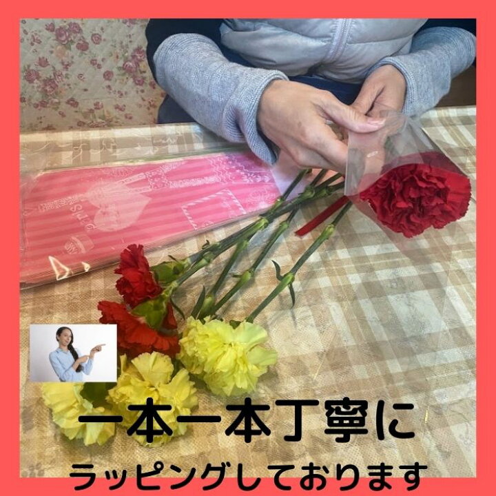 楽天市場 母の日 一輪花 花束贈呈 1本 カーネーション 学校行事 送別 先生 卒業 謝恩会 プレゼント ギフト 卒園 卒部 卒団 生花 一輪 友達 ピアノ 発表会 スケートリンク 投げる フラワー お任せ 新鮮 人気 生花 イベント 周年記念 ｒｏｓｅｔｔａ