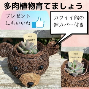 H̃v[g Mtg A t[AWg K[fjO Jo[ u 낢 v[g   rO K[f A X̂܂ o^C av[