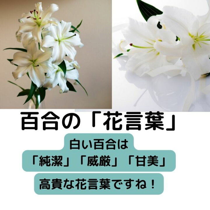 楽天市場 百合 ユリ 生花 一輪 カサブランカ シベリア カステラーニ ザンベジ 自宅用 飾る 切り花 花瓶に生ける 贈り物 プレゼントギフト 誕生日 記念日 結婚記念日 お礼 退職祝い ｒｏｓｅｔｔａ
