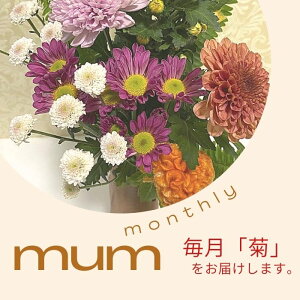   TuXN } eԑ d  ֋e  蕨  ~ ފ  d rO ̊  ԕr  Ղ ȋe