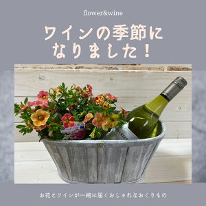 生花 鉢植え 新築祝いの人気商品 通販 価格比較 価格 Com