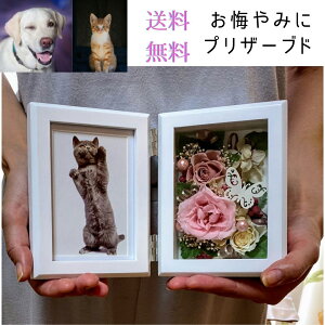 ybg 蕨  tHgt[ LOʐ^ j ybg  L Mtg v[g vU[uht[  