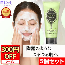 【12月15日限定★300円OFFクーポン】【5本セット/送料無料】 ロゼット洗顔パスタ 海泥スムース 180g×5本 | 洗顔フォーム 毛穴 黒ずみ 角栓 泥 クレイ 洗顔 いちご鼻 ザラつき 角質ケア メンズ レディース 大容量 皮脂 テカリ