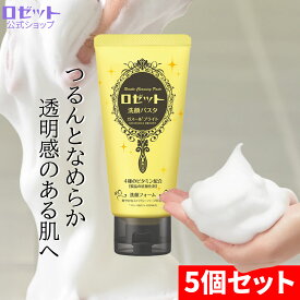 洗顔フォーム くすみ ロゼット洗顔パスタ ガスールブライト 120g×5本セット 合計600g 洗顔料 洗顔 泡洗顔 角質 泥洗顔 クレイ ビタミン 透明感 洗顔クリーム スキンケア 毛穴 毛穴汚れ 毛穴ケア 角質ケア くすみ対策 透明感 ロゼット