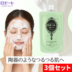 洗顔料 毛穴 ロゼット洗顔パスタ 海泥スムース 240g×3個セット 合計720g 大容量 洗顔 洗顔フォーム 泡 メンズ 男性 毛穴汚れ 泡 泥洗顔 泥 泡洗顔 クレイ 黒ずみ 毛穴洗顔 乾燥肌 角質 毛穴ケア 皮脂 角栓 鼻 くすみ いちご鼻 緑