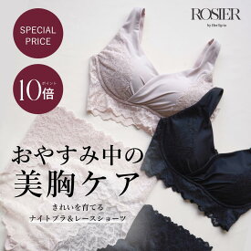 ＼0の付く日限定★P10倍／ 【公式】 ナイトブラセット 上下セット ノンワイヤー ハーリップトゥ herlipto 小嶋陽菜 ブラ バストケア 谷間 夜 昼夜兼用 横流れ 防止 痛くない 女性 レディース 送料無料 ROSIERナイトセット バレンタイン
