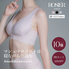 ＼0の付く日限定★P10倍／ 【公式】 ナイトブラセット 3枚セット ノンワイヤー ハーリップトゥ herlipto 小嶋陽菜 ブラ バストケア 谷間 夜 昼夜兼用 横流れ 防止 痛くない 女性 レディース 送料無料 ROSIERナイトセット バレンタイン