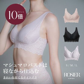 ＼0の付く日限定★P10倍／ 【公式】 ナイトブラ ノンワイヤー ハーリップトゥ herlipto 小嶋陽菜 ブラ バストケア 谷間 夜 昼夜兼用 横流れ 防止 痛くない 女性 レディース 送料無料 Everyday Essential Night Bra ROSIER バレンタイン