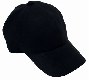 Rbg炬525 Lbv Vv ʔN XqEی`E{ nEcCERbg100 傫TCYOKE傫 sp014