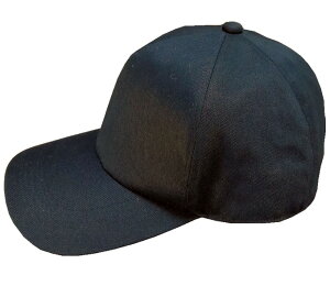 Rbg炬545 rbOLbv JWA ʔN XqE傫TCYOKE[߁E{ cCERbg100 5LE6LTCY sp511