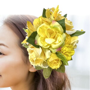 t_X  nCA ANZT wANbv CG[ F  傫 nCAG gsJG wA[ANZT[ tK[ ߑ   p 