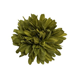 t_X wANbv  LN O[ } VO